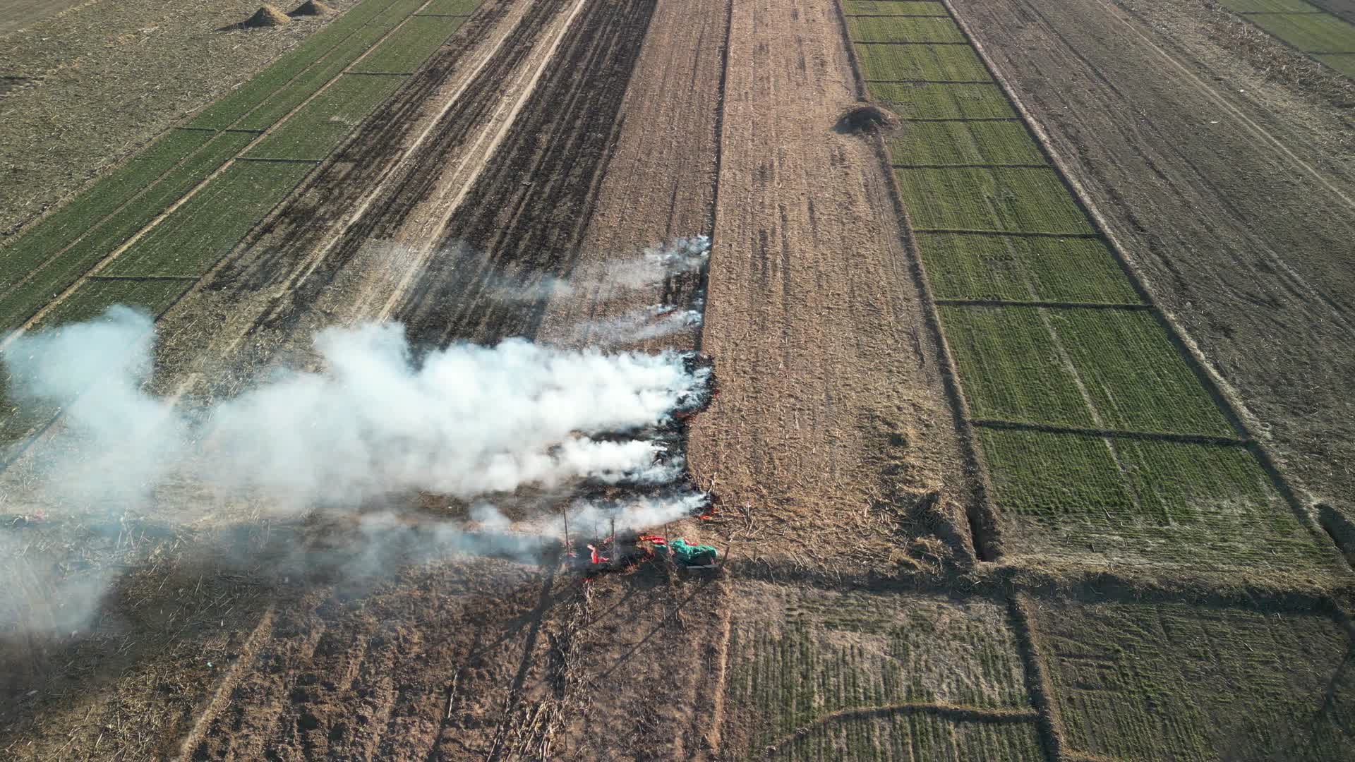 4K航拍大田焚烧秸秆浓烟农村环境污染视频的预览图