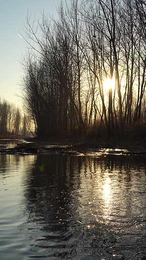 4K竖拍北方冬天暖阳下的河流潺潺流水视频的预览图