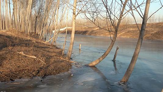 4K北方冬天阳光下结冰的河流自然景观视频的预览图