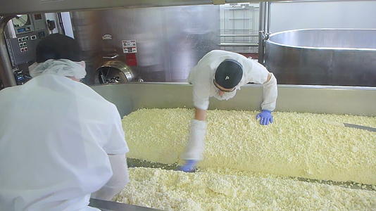 工厂奶酪制作视频的预览图