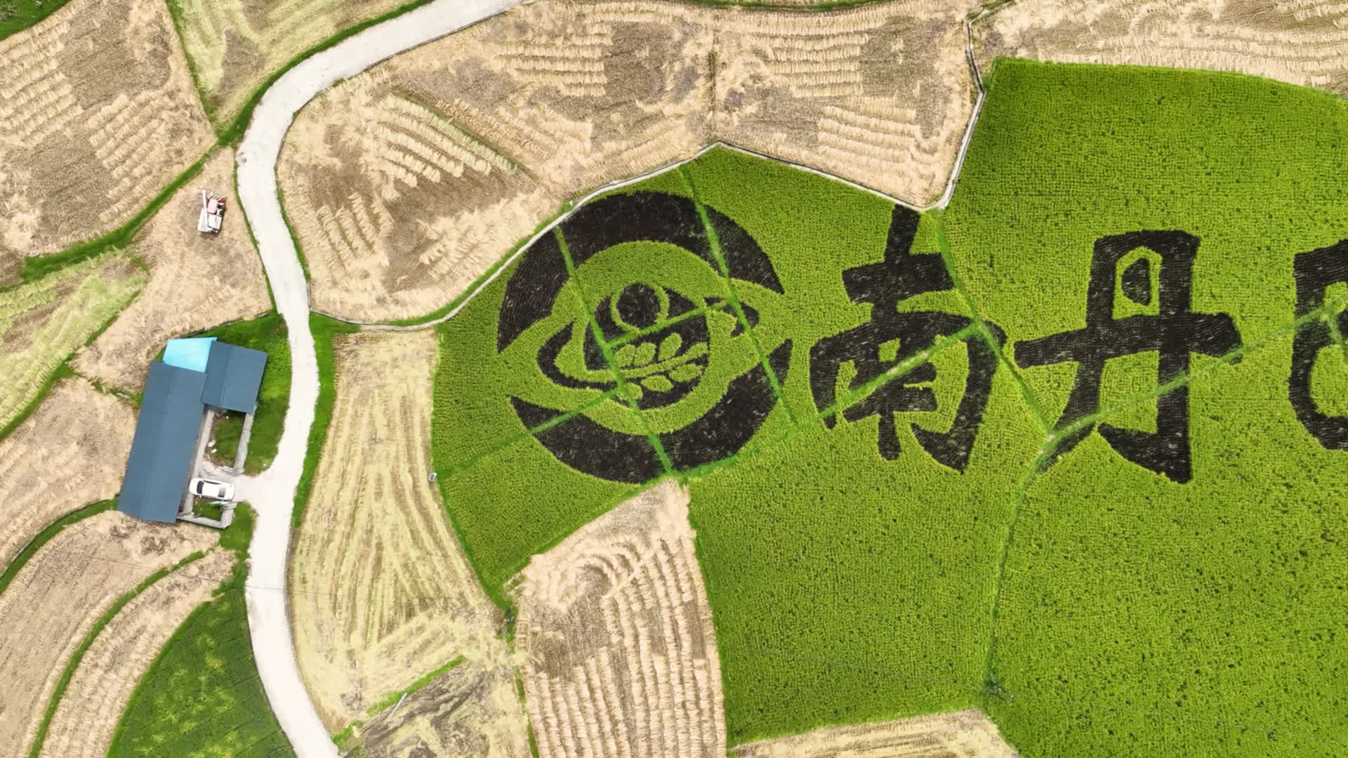 4K航拍河池南丹巴平米稻田视频的预览图
