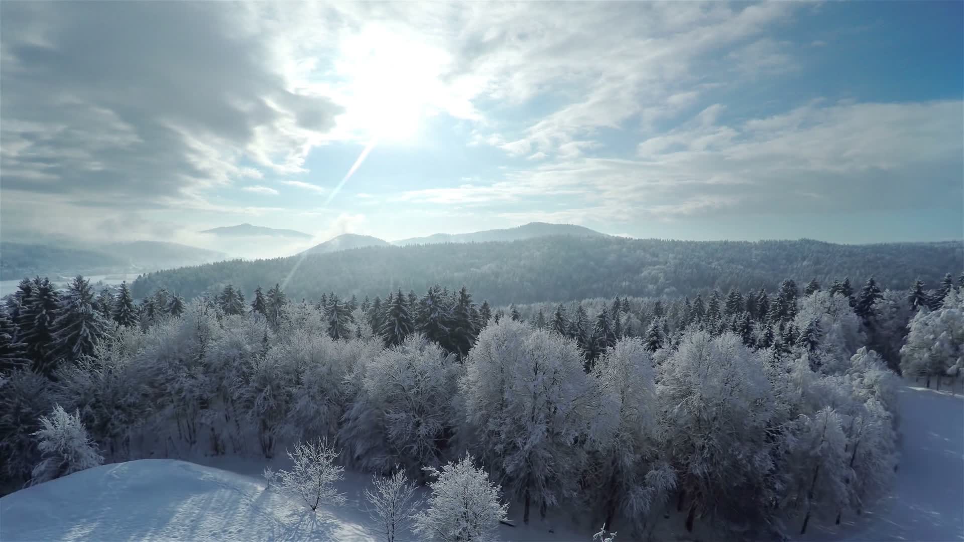 航拍大气雪林冬季雪原雪林北国风光视频视频的预览图
