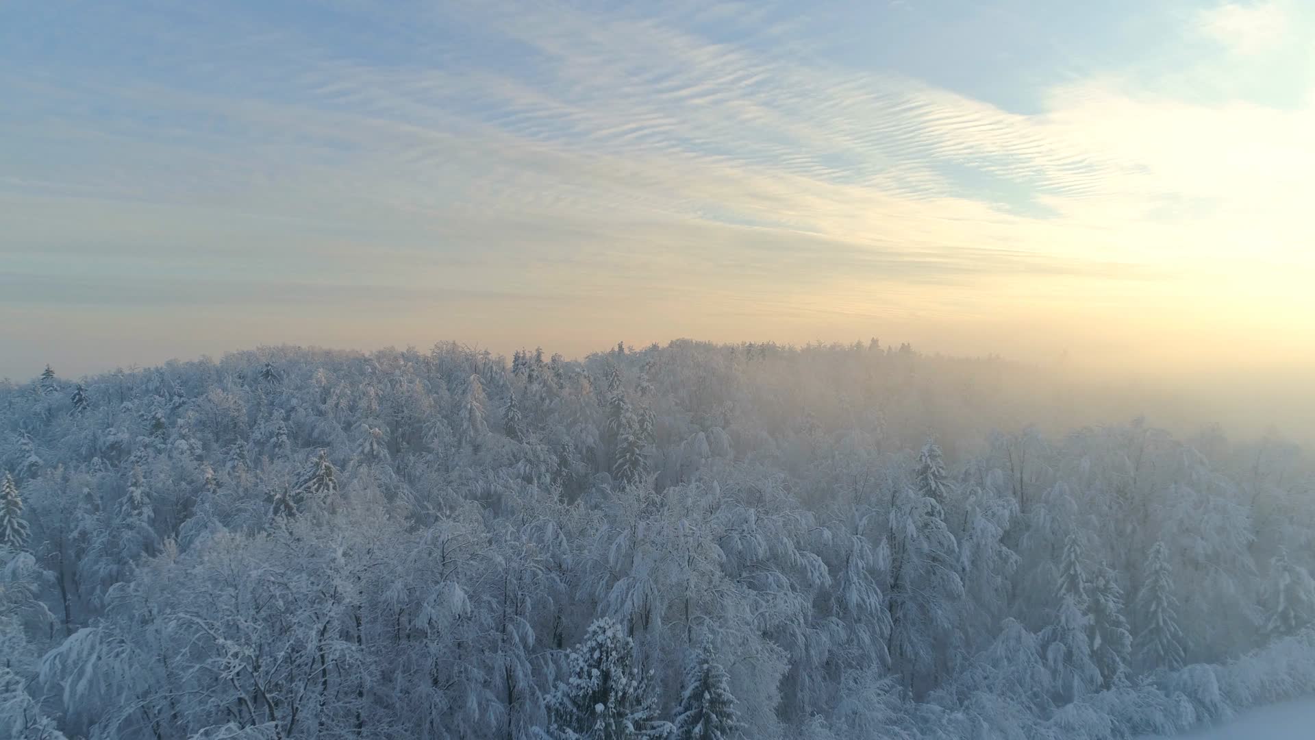 航拍辽阔雪林冬季雪原树挂雪白雪世界视频视频的预览图