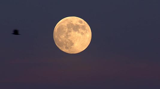 4k唯美月亮圆月月全食自然景观视频视频的预览图