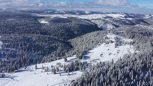 4K冬季雪林壮观航拍旅游宣传美景视频视频的预览图
