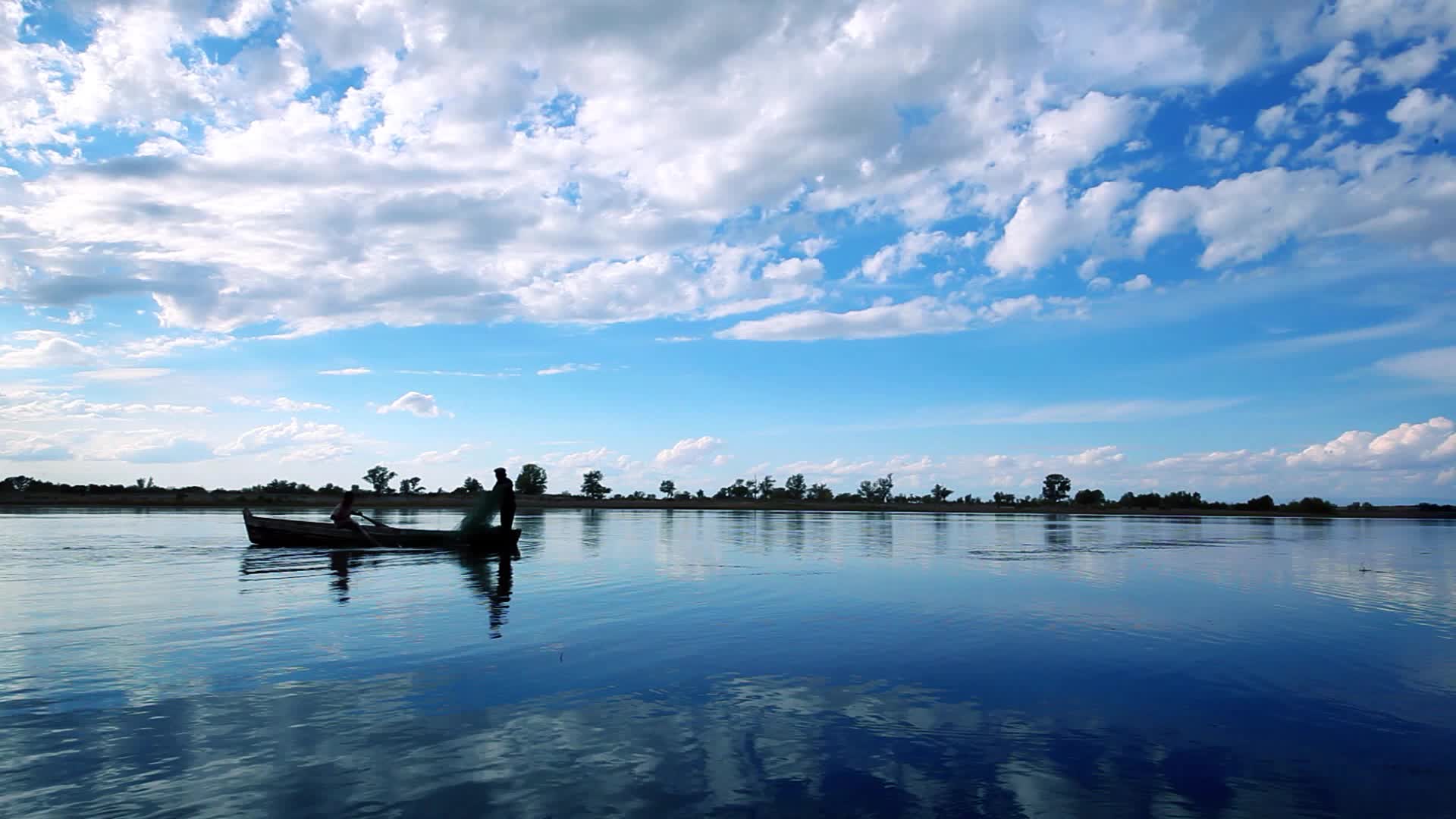 白桦林美丽风景视频的预览图