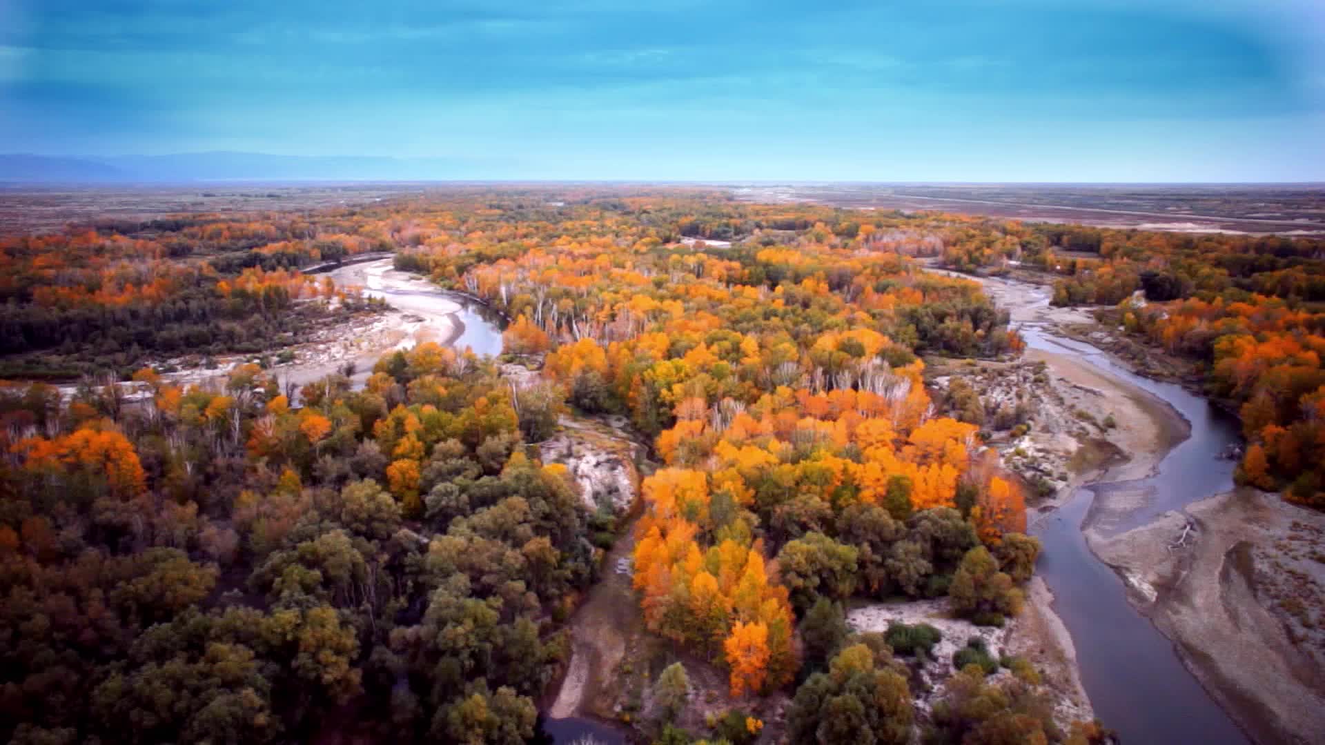 额尔吉斯河河边优美风景视频的预览图
