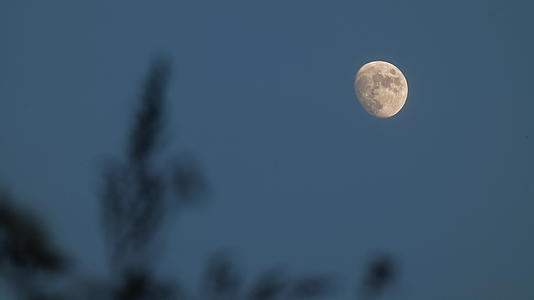 4K超柔美月亮月球视频的预览图