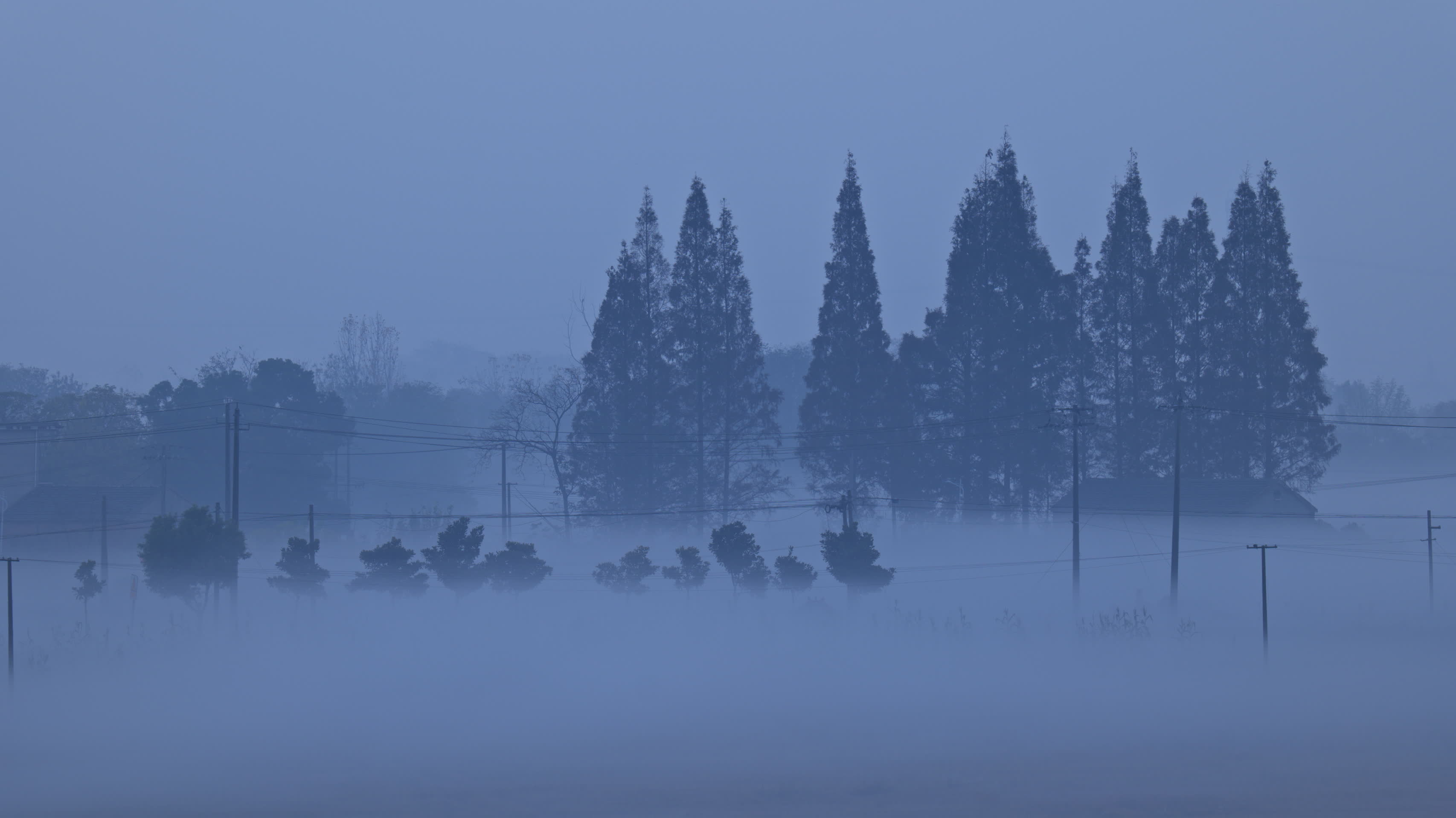 4K农村清晨浓雾延时空镜视频的预览图