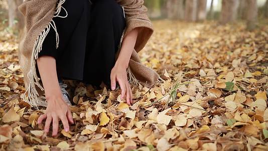 秋天日景落叶黄色树叶树林女生收集地面落叶实景拍摄视频的预览图