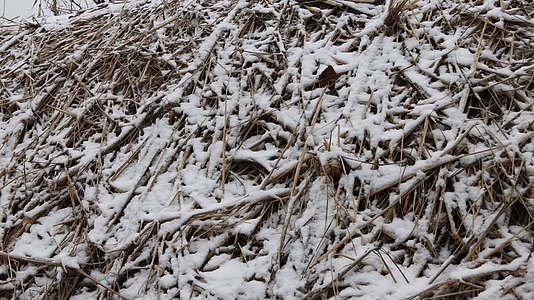 冬雪中的农家草堆视频的预览图