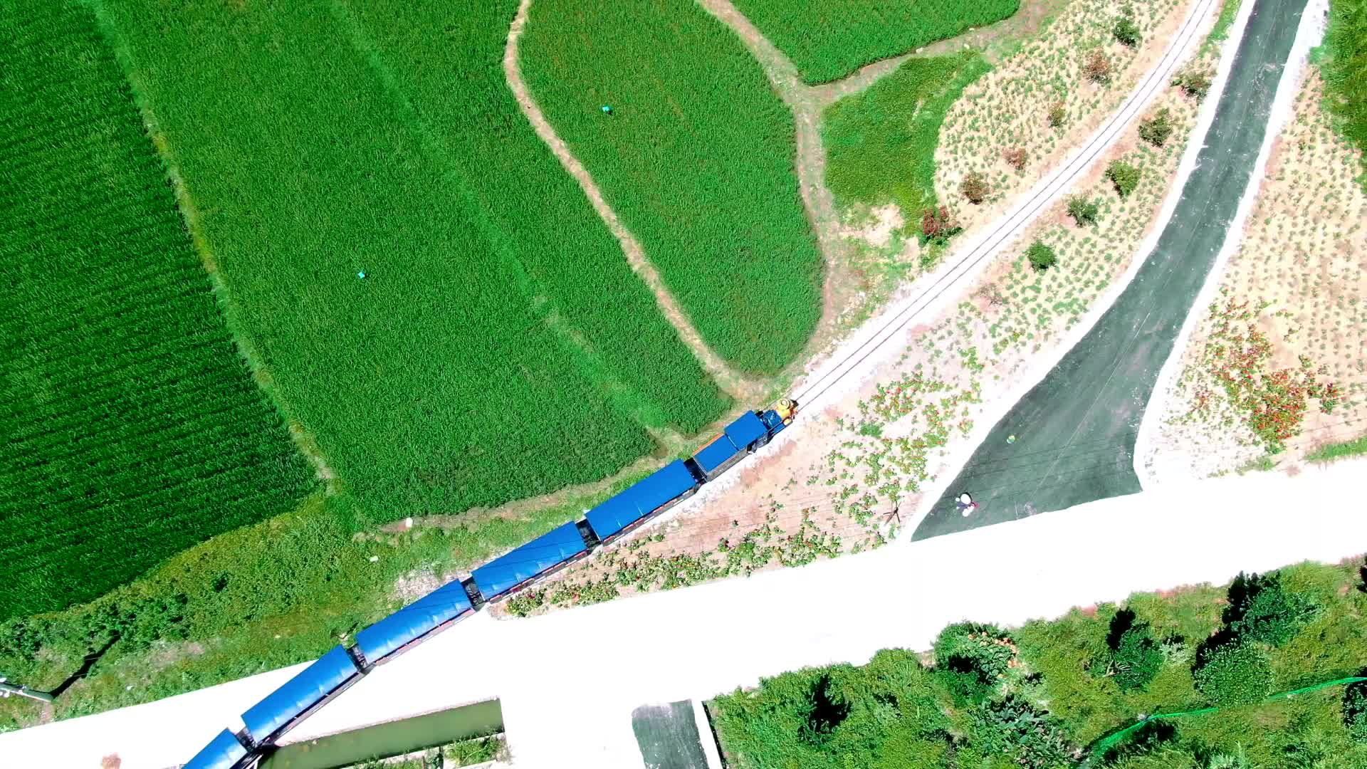 小火车在田野穿梭视频的预览图