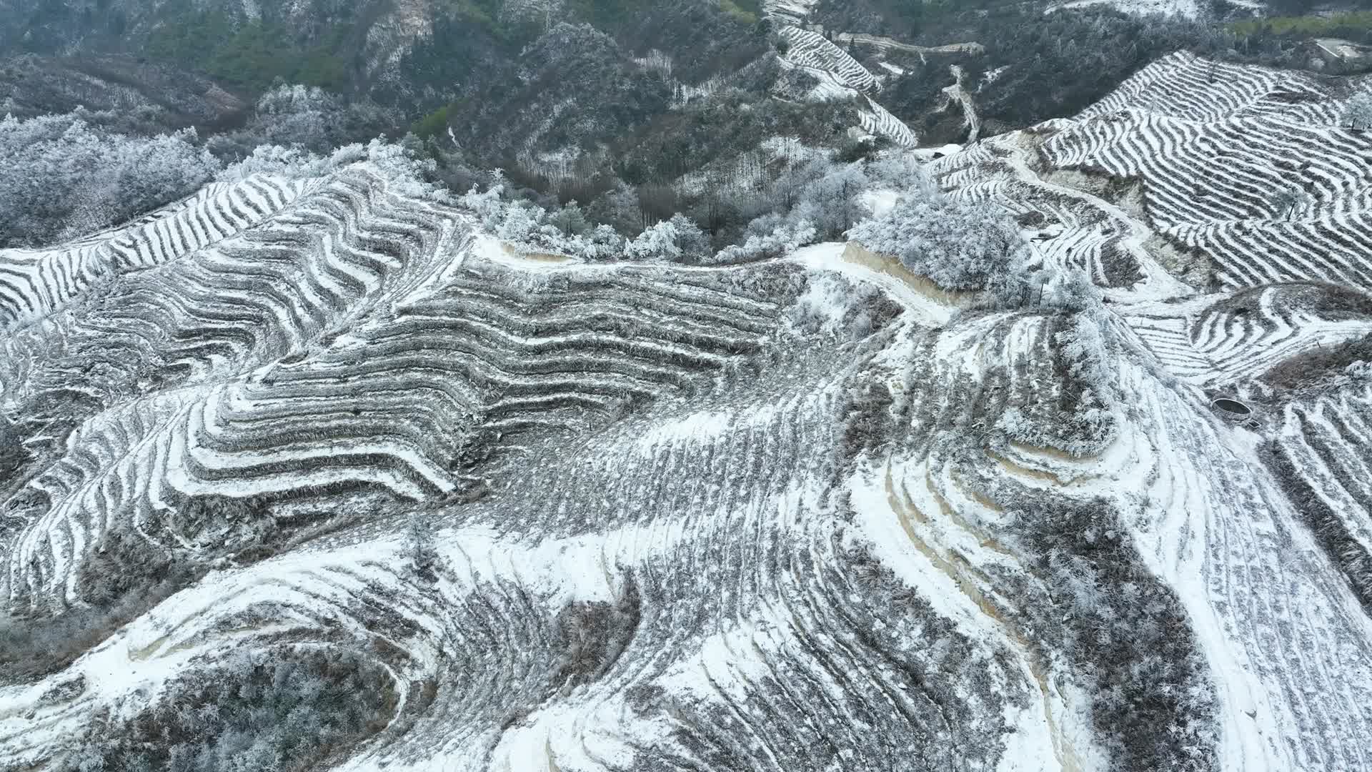 4K航拍桂林资源梯田雪景视频的预览图