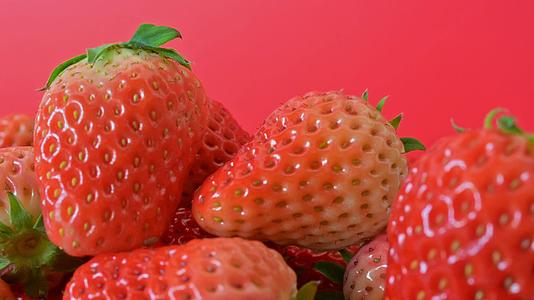 4K草莓水果草莓种植成熟饮料果园采摘草莓视频的预览图