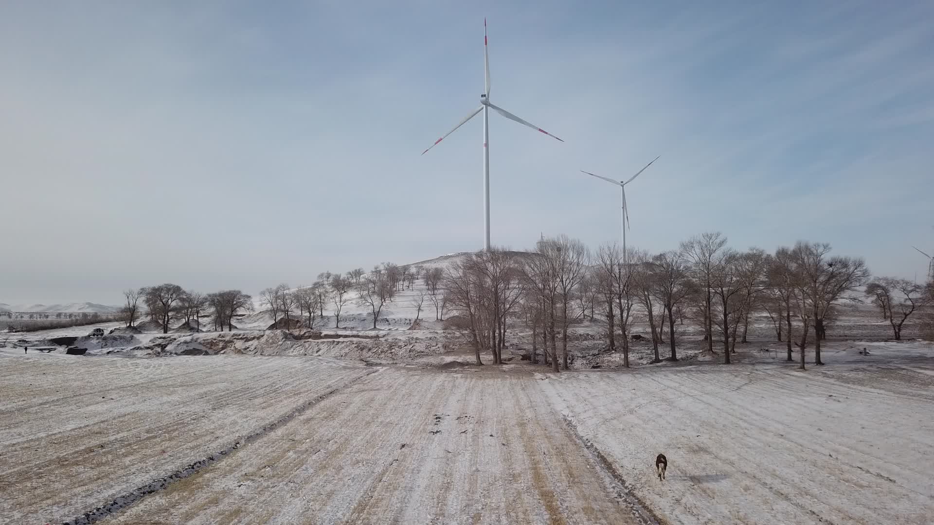 雪地里的风车视频的预览图