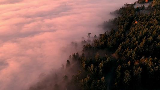 秋季森林清晨日出云雾唯美航拍视频的预览图