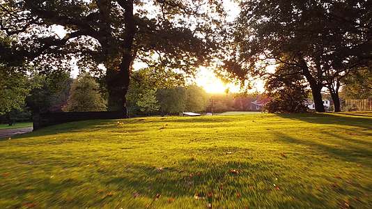 阳光透过树木照在草地视频的预览图