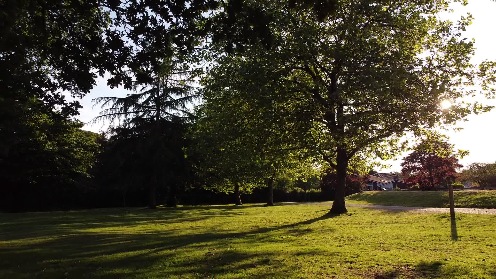 欧洲城市朝阳照耀干净的社区草地树木绿化视频的预览图