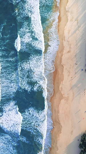 沙滩大海垂直航拍视频的预览图