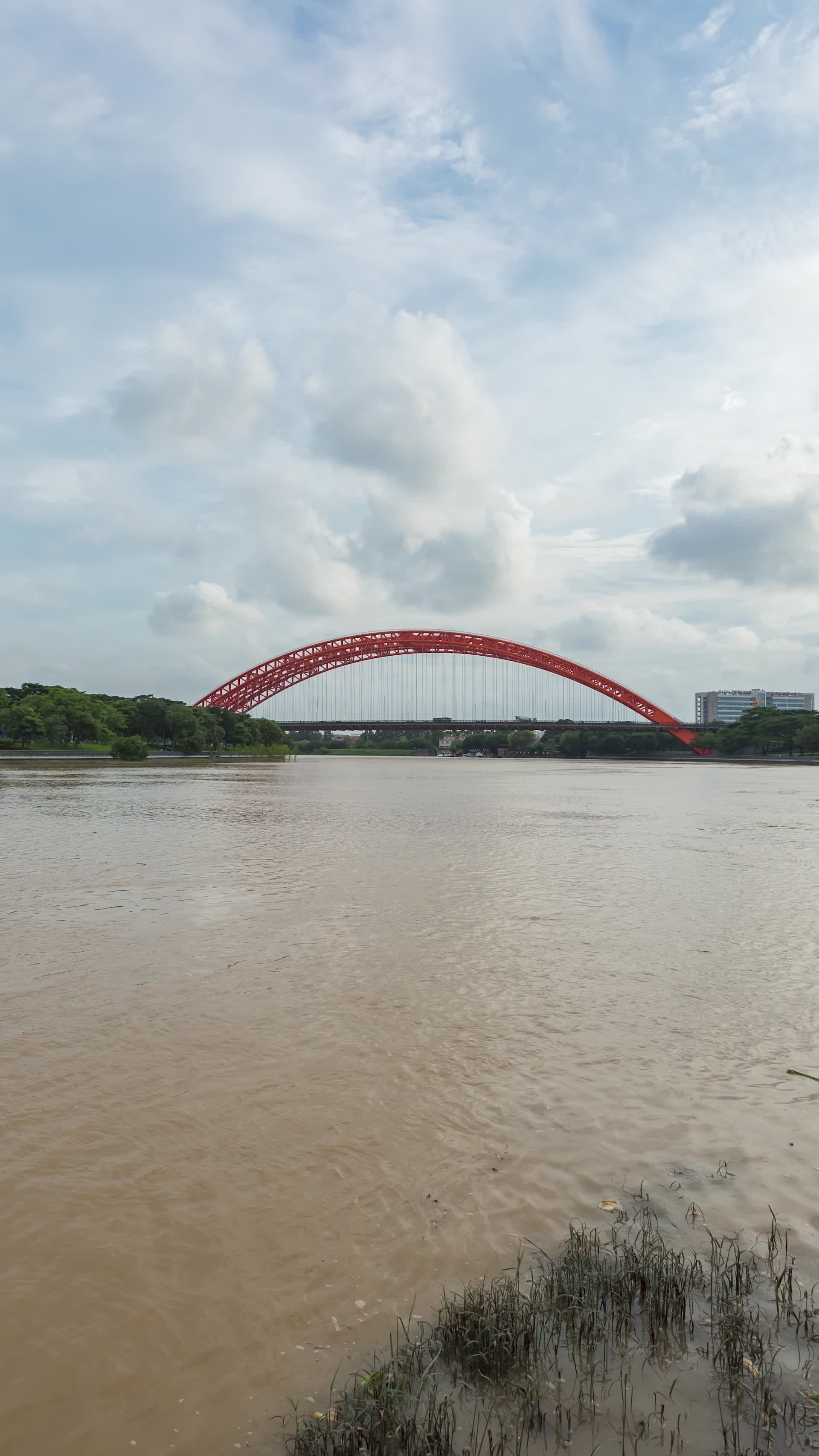 东莞水道特大桥延时风景视频的预览图