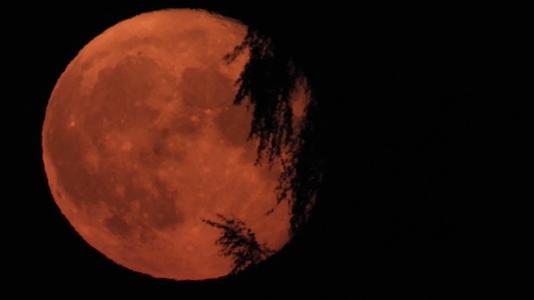 夜晚月亮升起唯美延时视频的预览图