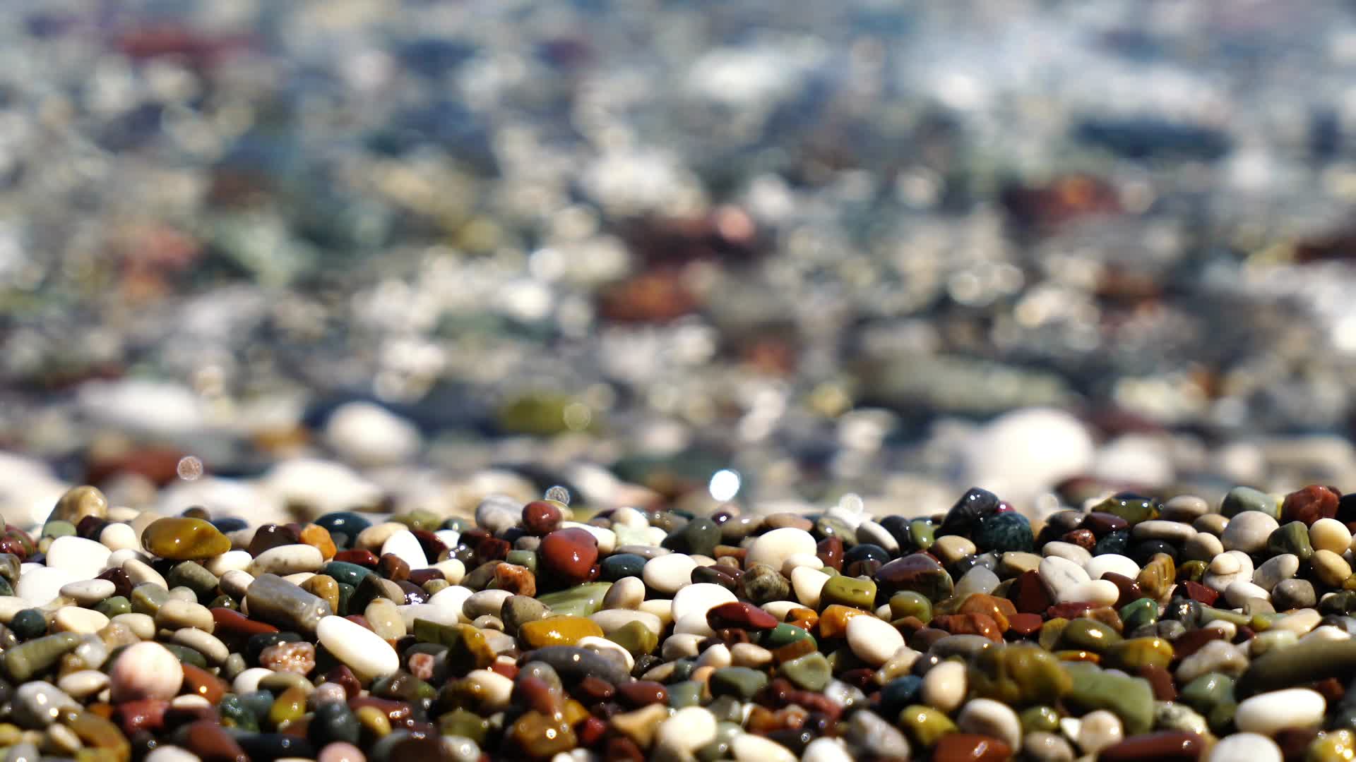 海滩上贝壳卵石金色的沙子视频的预览图