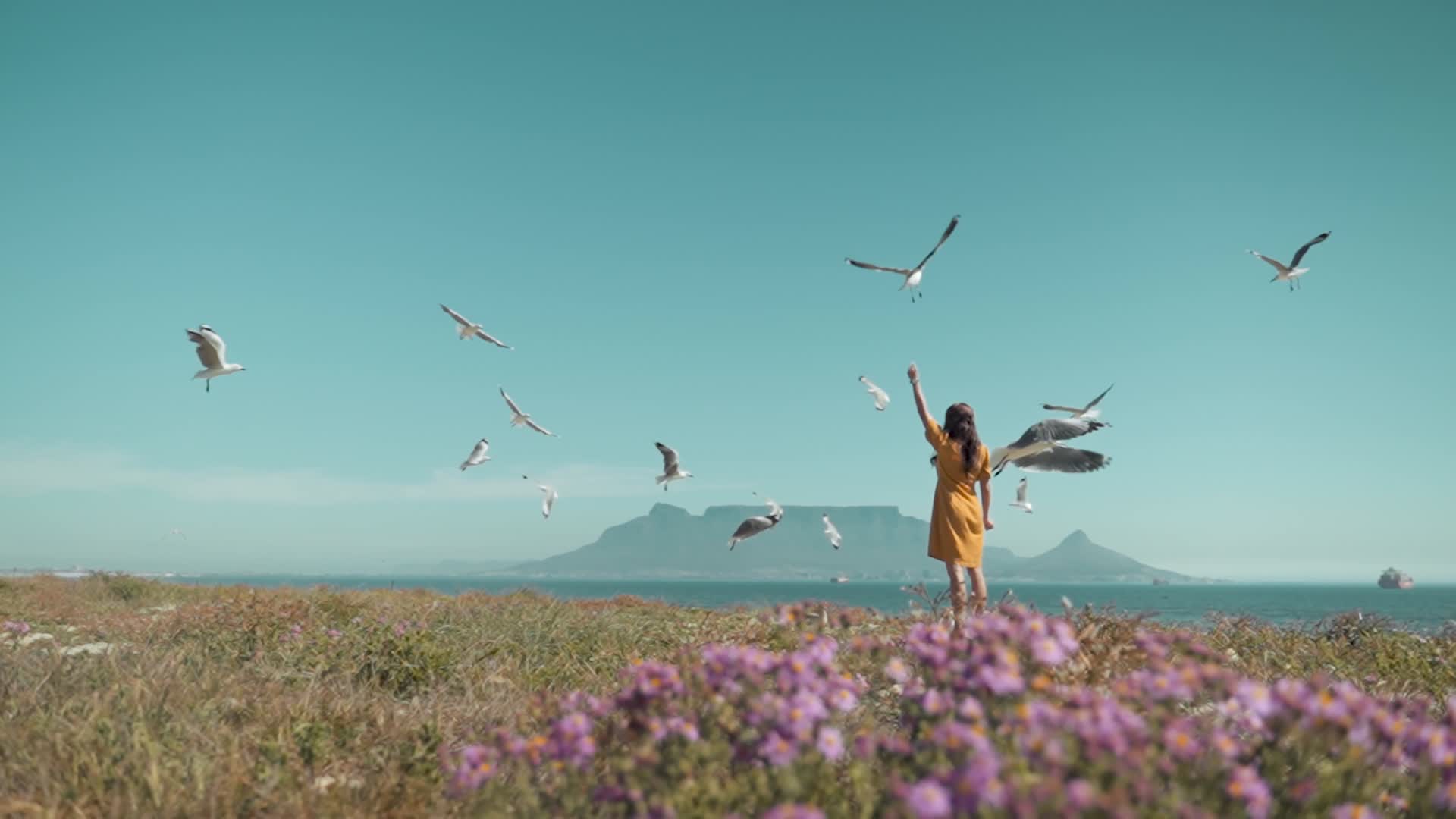 开满花的海边美女举起手臂喂海鸥视频的预览图