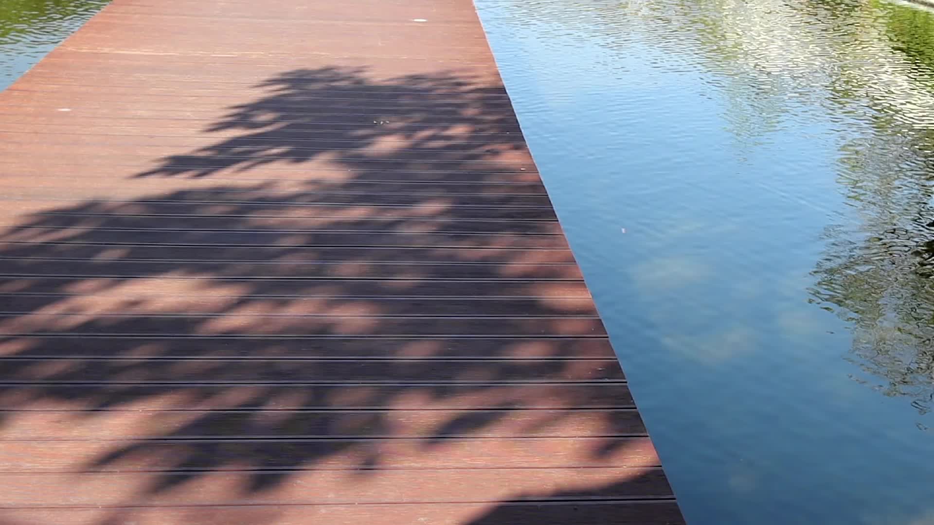 公园栈道水池倒影春光视频的预览图