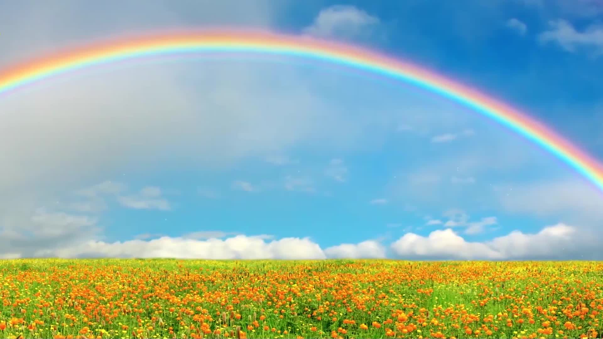 城市风景雨后彩虹唯美景色视频视频的预览图