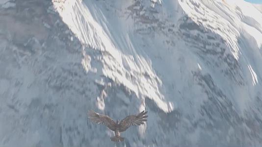 老鹰雄鹰展翅飞跃雪山企业精神梦想展望视频视频的预览图