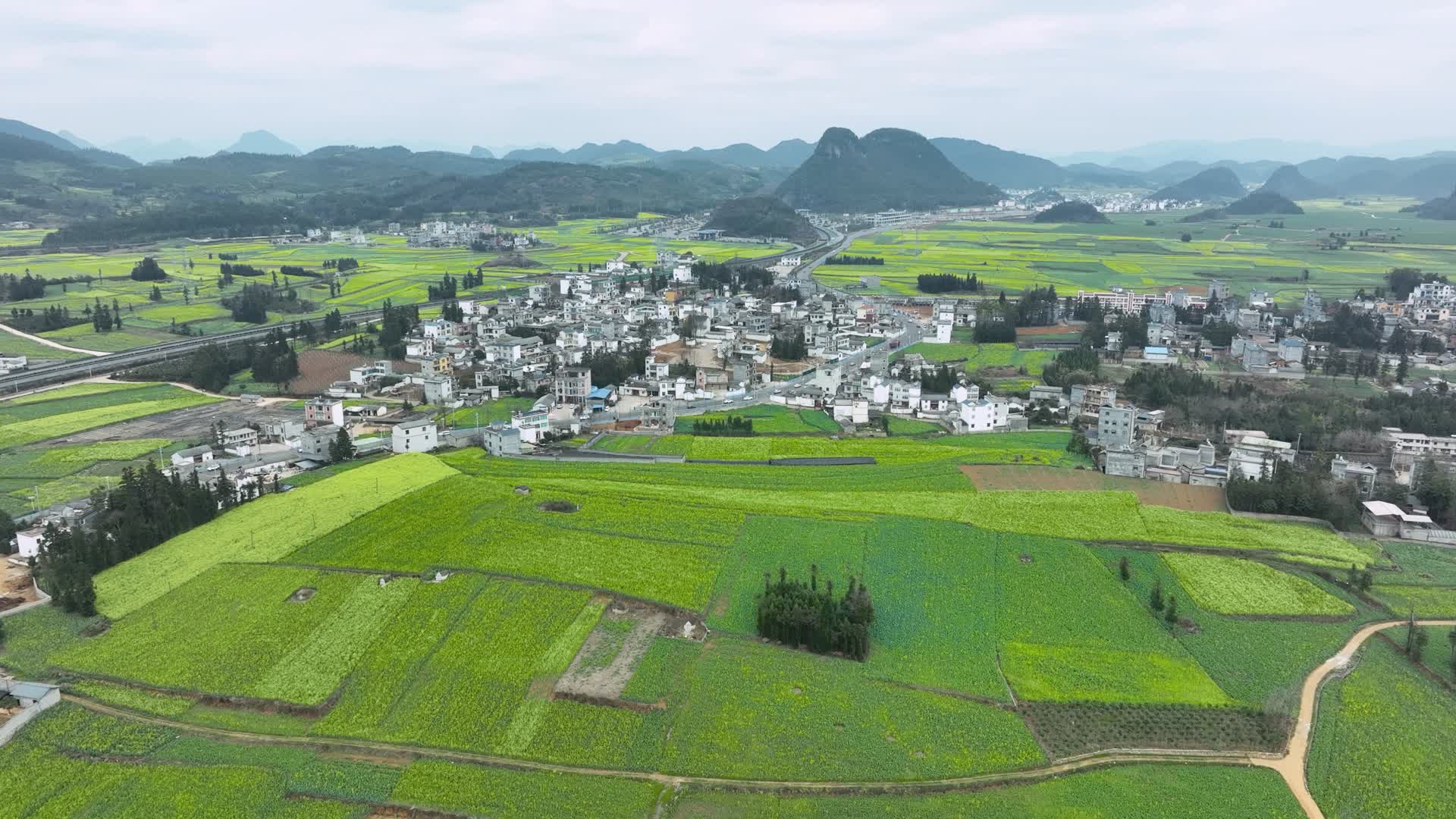 4K航拍罗平油菜花海村庄视频的预览图