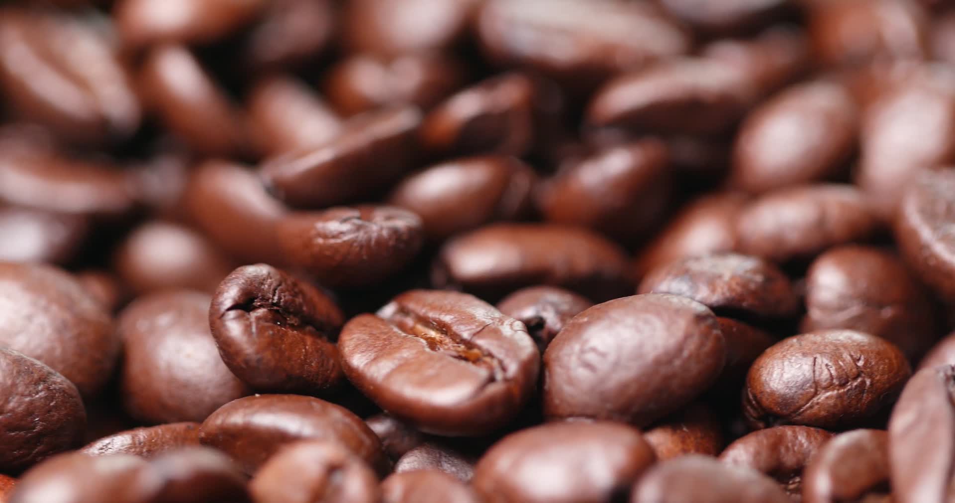 咖啡种子的特写镜头视频的预览图