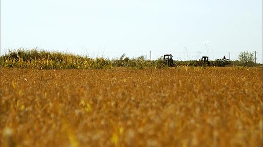 水稻丰收收割农民农业绿色希望视频视频的预览图