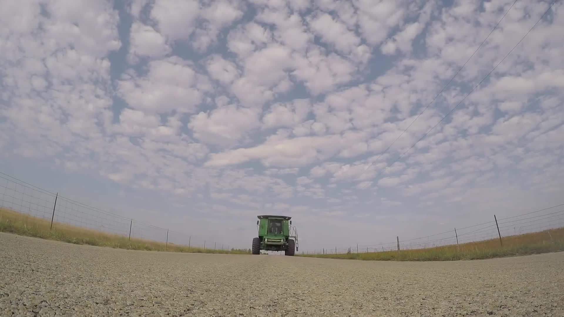 小麦收割农业视频视频的预览图