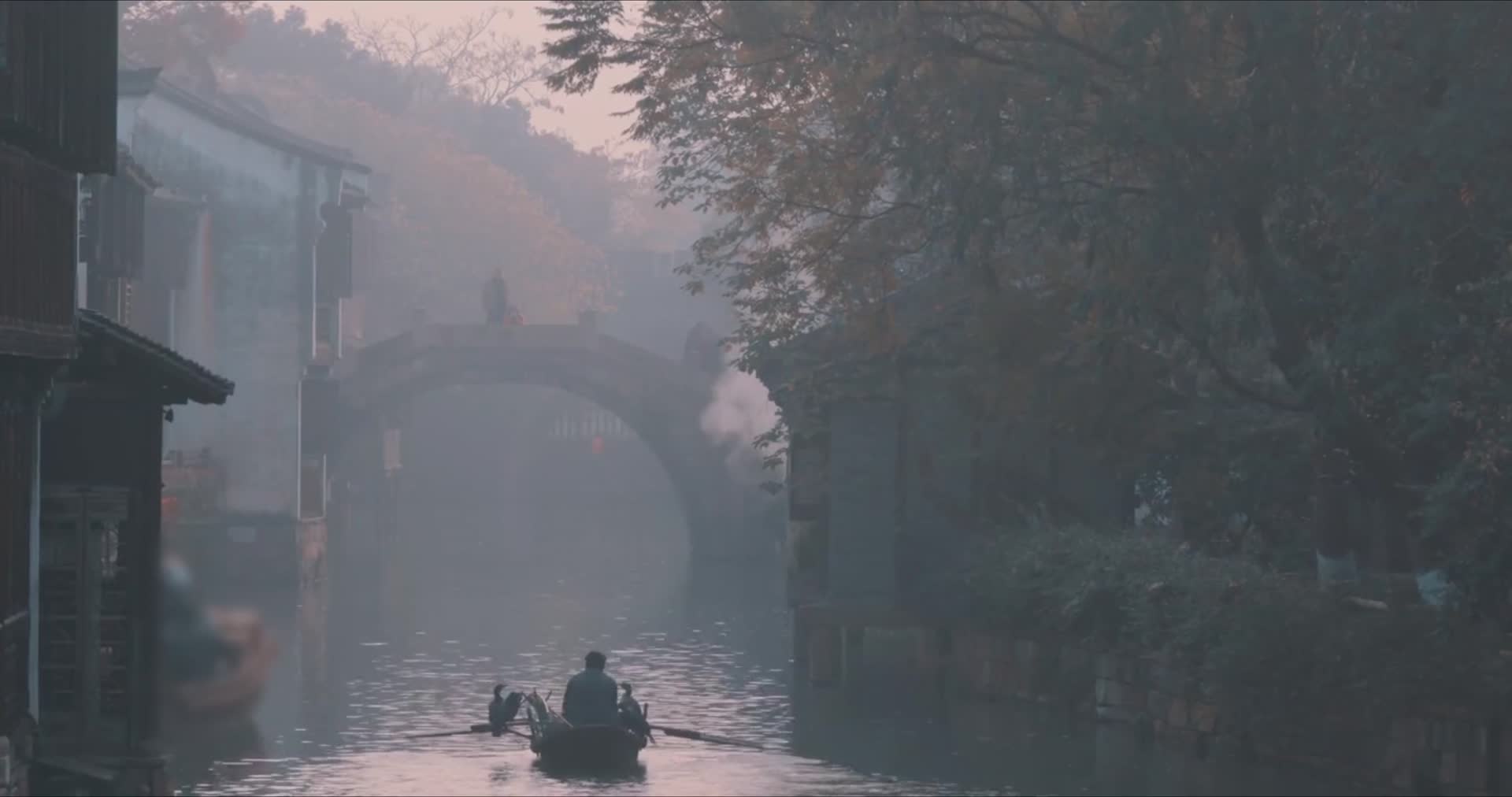 合集千年古镇乌镇秋季风光视频的预览图