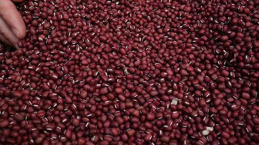 红豆蛋白质食物红豆黑豆视频的预览图