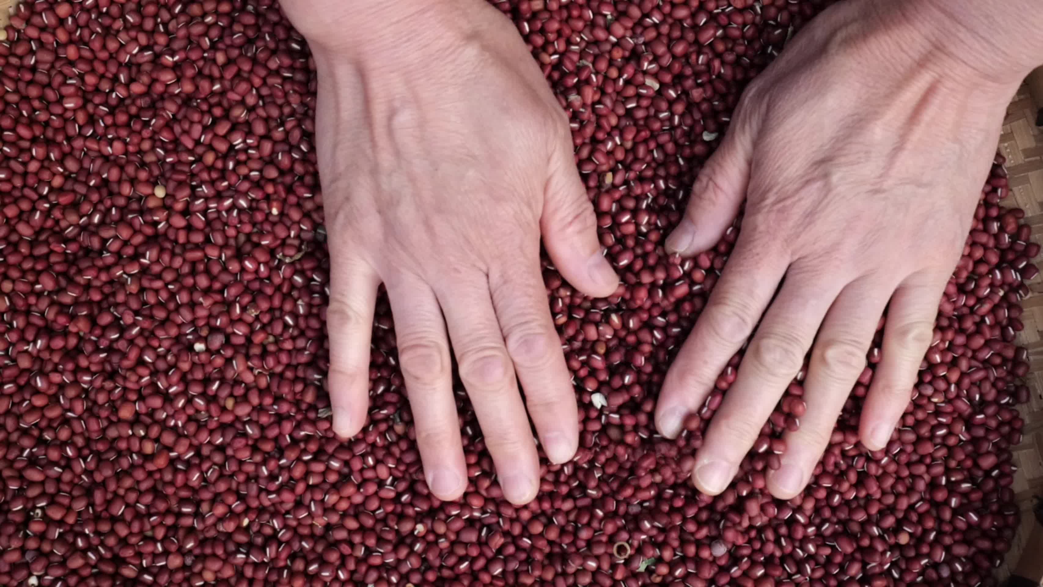红豆蛋白质食物红豆黑豆视频的预览图