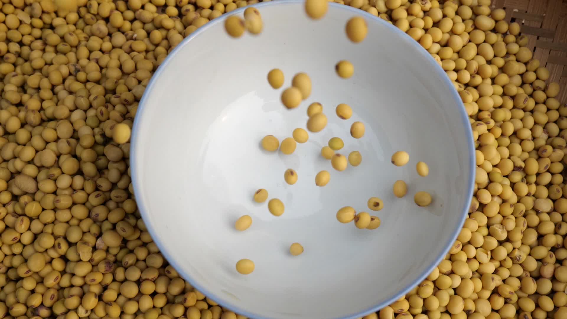 优质的黄豆大豆粮食视频的预览图