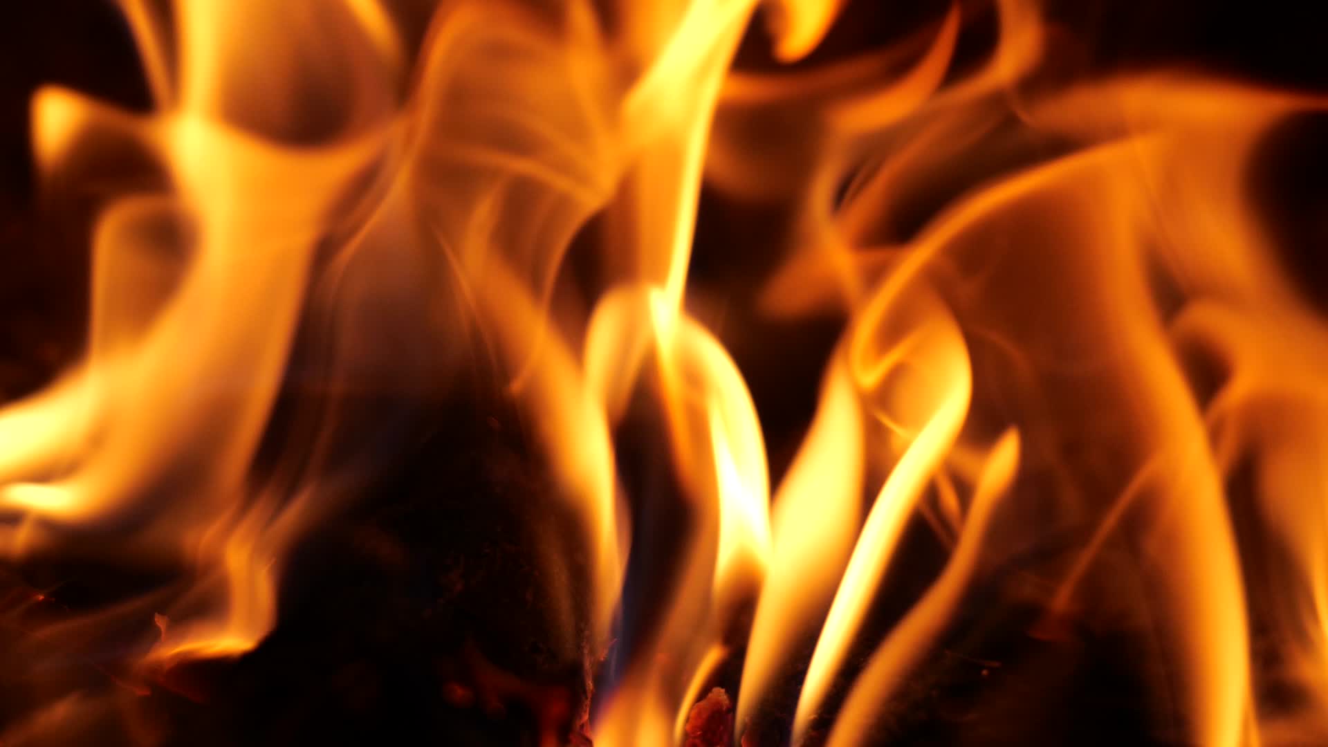 火柴火烧火土视频的预览图