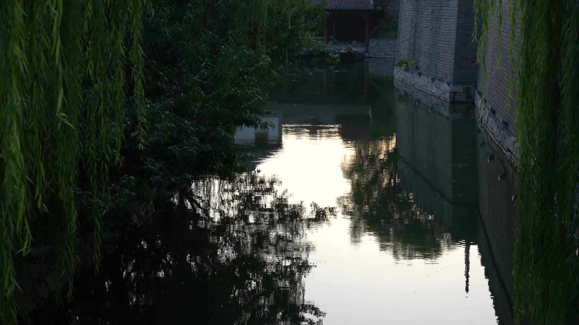 夕阳下的水面视频的预览图