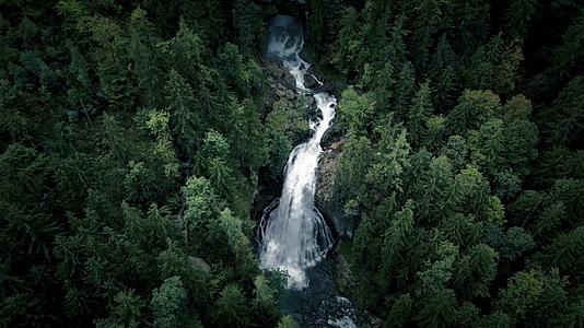 原始雨林河流瀑布唯美航拍视频的预览图