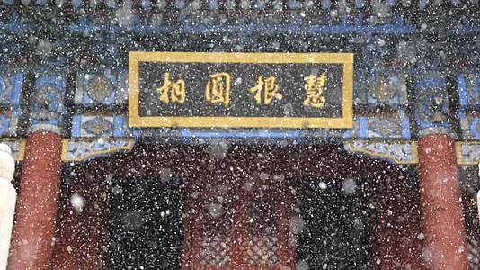 落雪风光飘雪中国古建视频的预览图