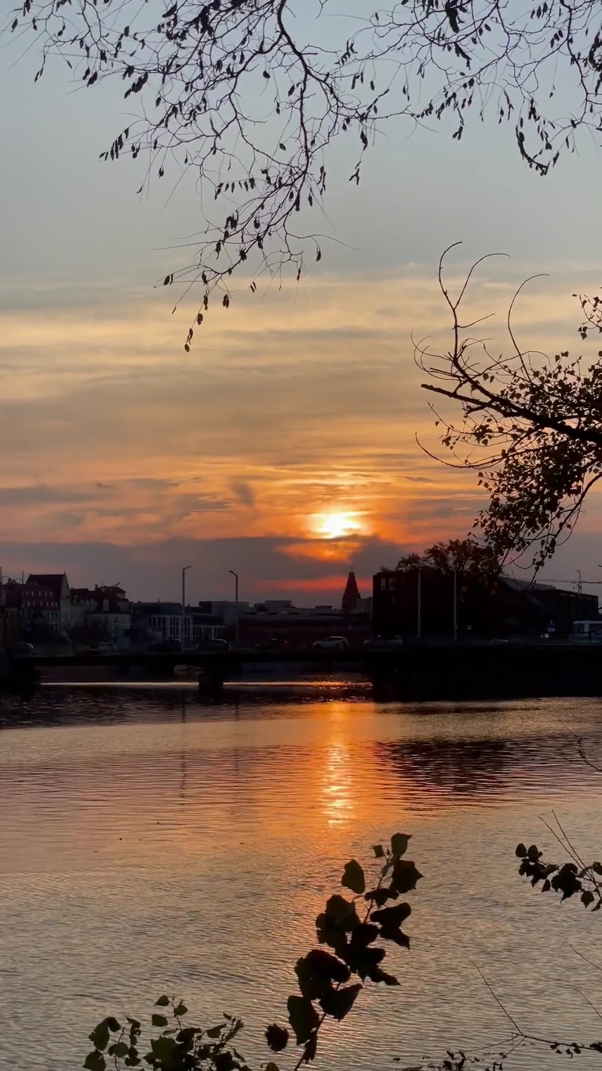 城市河边的夕阳视频的预览图