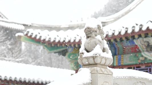 园林景观中式古建雪景风光视频的预览图