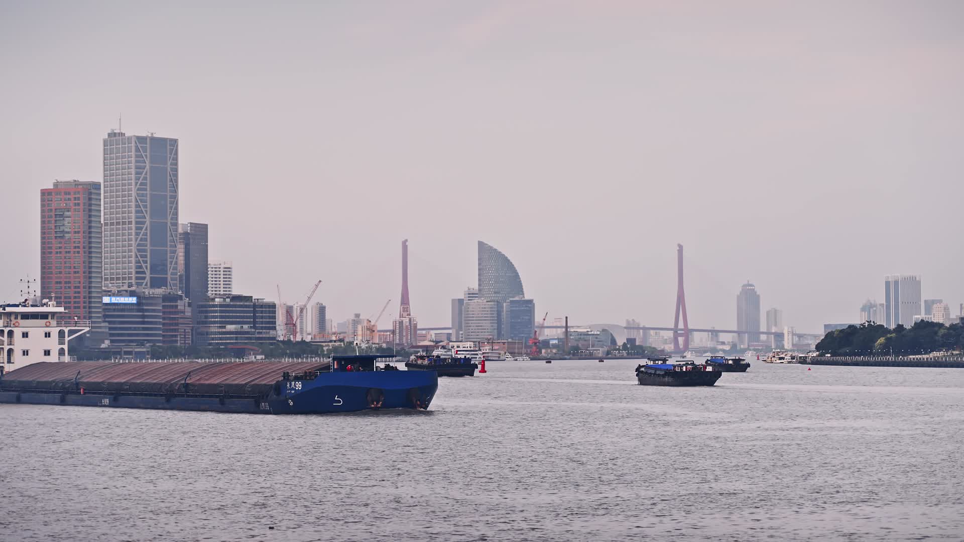 上海解封后的黄浦江货轮视频的预览图