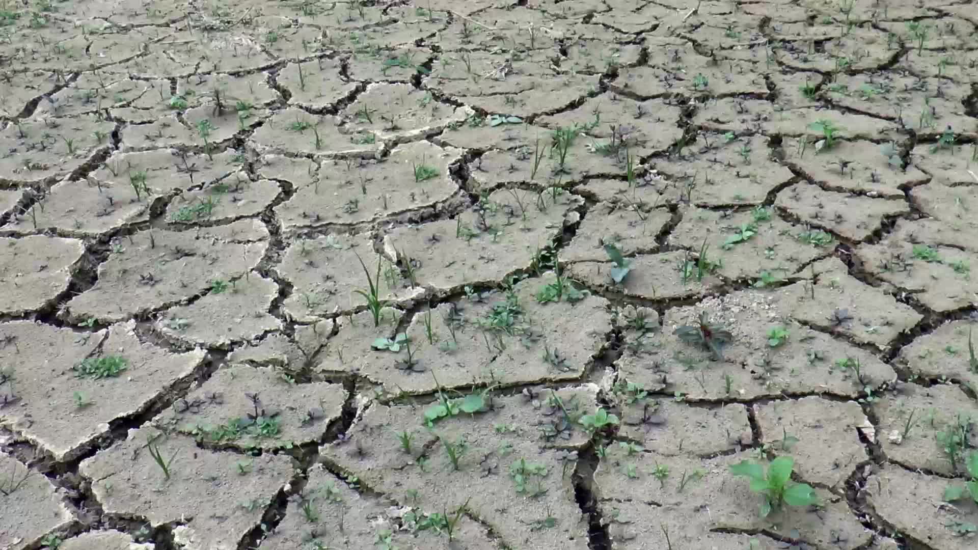 干旱的地面视频的预览图