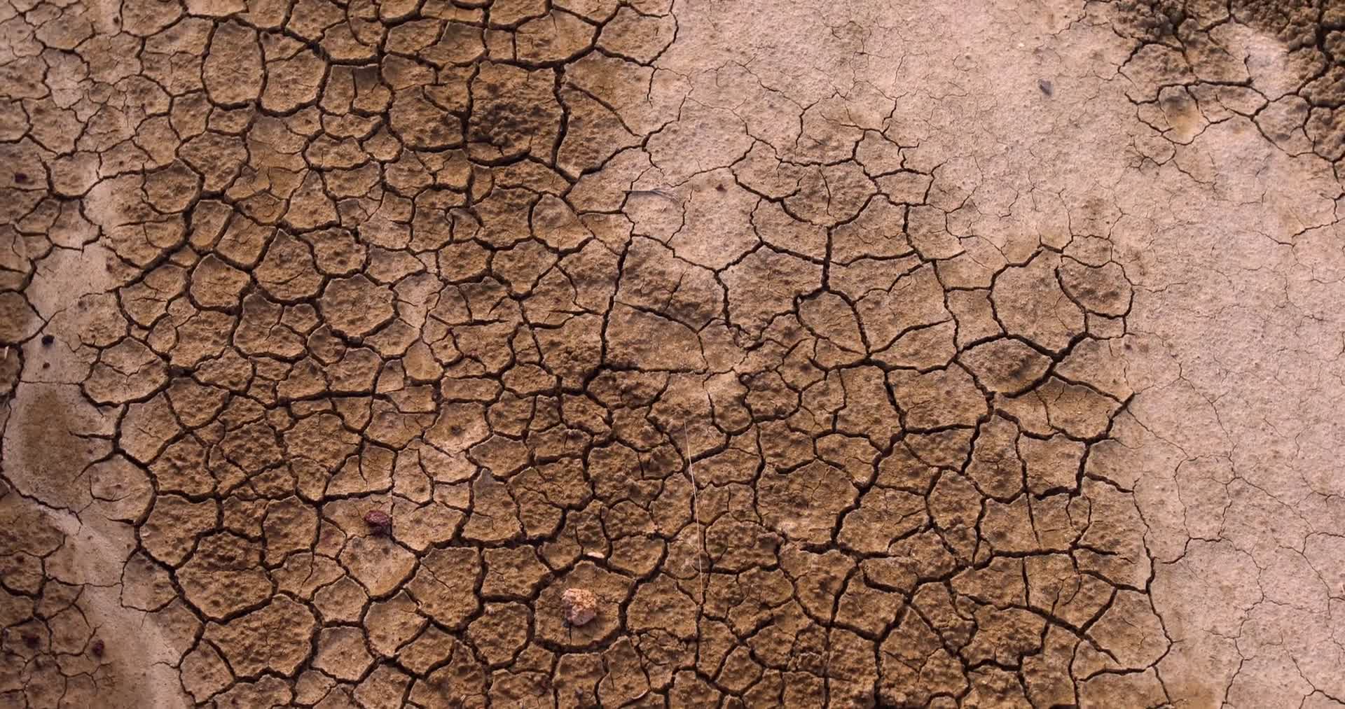 干旱土地干涸裂纹视频视频的预览图