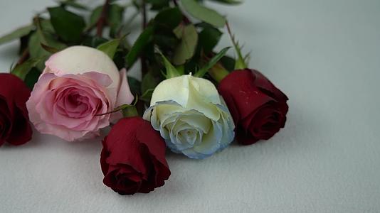 4K情人节玫瑰花卡片祝福升格实拍视频视频的预览图
