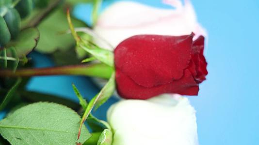 4K唯美情人节新鲜玫瑰花升格实拍视频的预览图