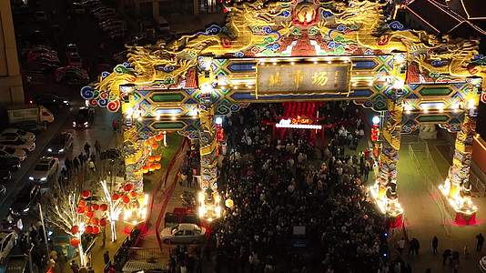 城市文化元宵春节沈阳北市场灯会视频的预览图